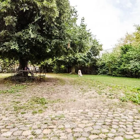 Villa12 *